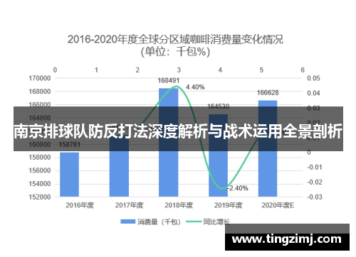 南京排球队防反打法深度解析与战术运用全景剖析