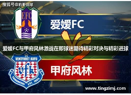 爱媛FC与甲府风林激战在即球迷期待精彩对决与精彩进球