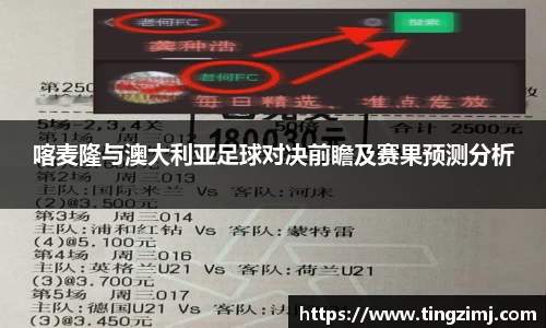 OETY欧亿喀麦隆与澳大利亚足球对决前瞻及赛果预测分析